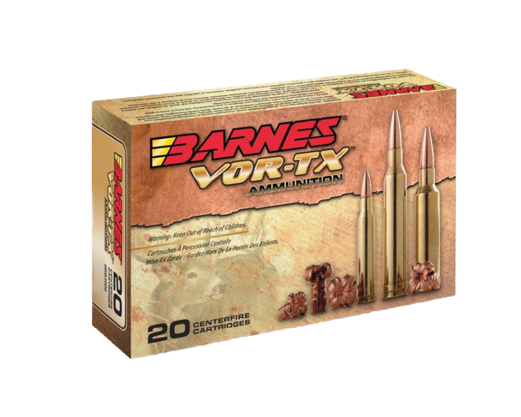 Barnes .45-70 Govt TSX FN Vor-Tx