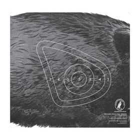 Canaxa kanalplast Träffområde Gris (2017)